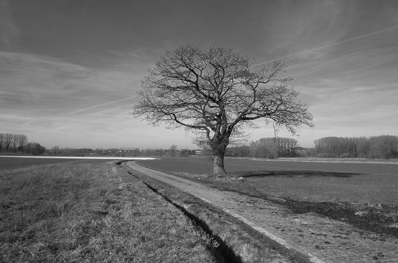 Philippe Smolders - Bunsbeek - (1/1600 sec. bij f / 7,1 ISO 400)