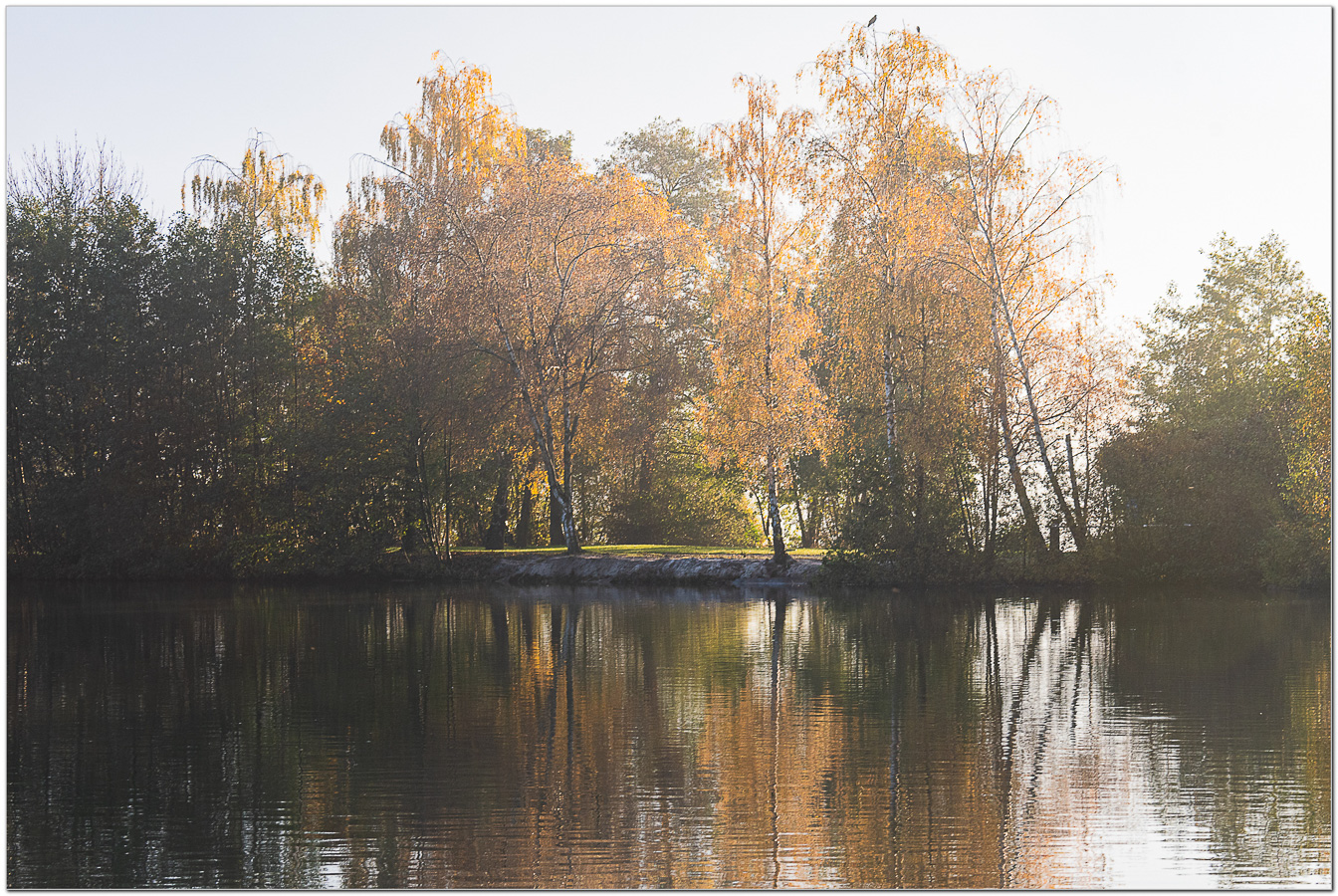 Michel De Vel - Herfst aan de waterkant - (1/100 sec. bij f / 10 ISO 200)