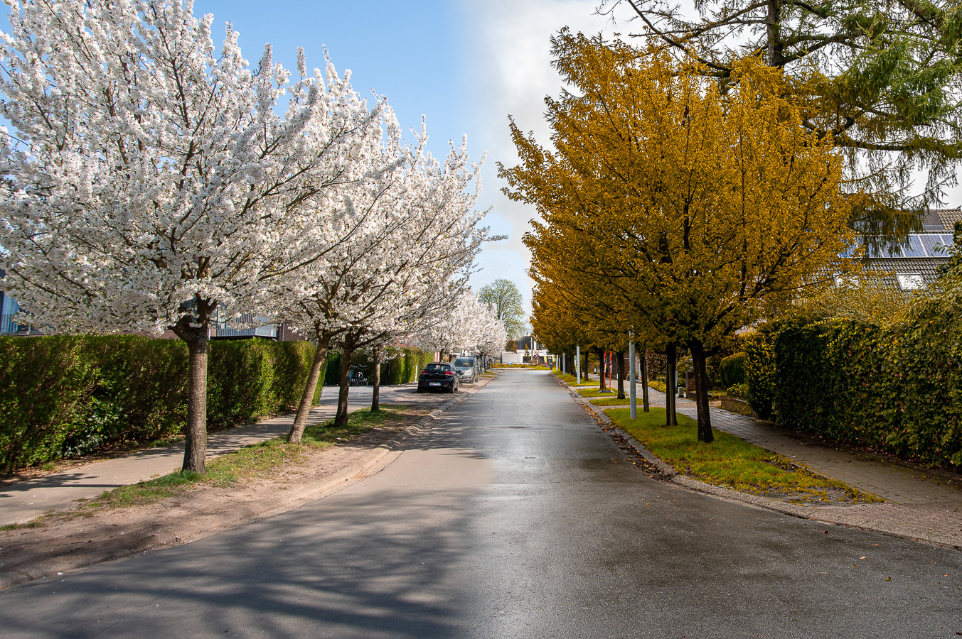 Joos Lauwers - Lente-herfst - (1/60 sec. bij f / 11 ISO 100)