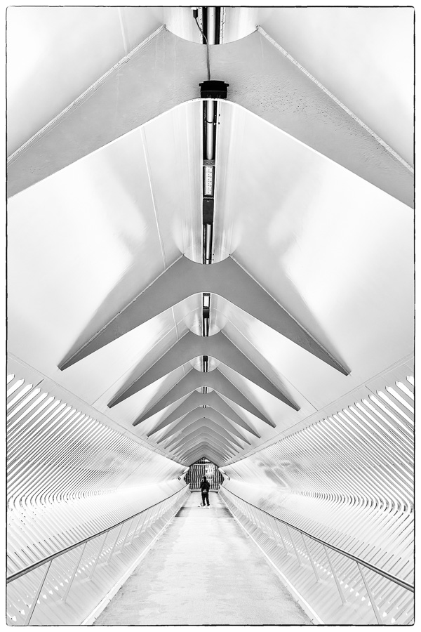 Diane Boons - Cruisebrug Antwerpen - (1/125 sec. bij f / 4,0 ISO 640)