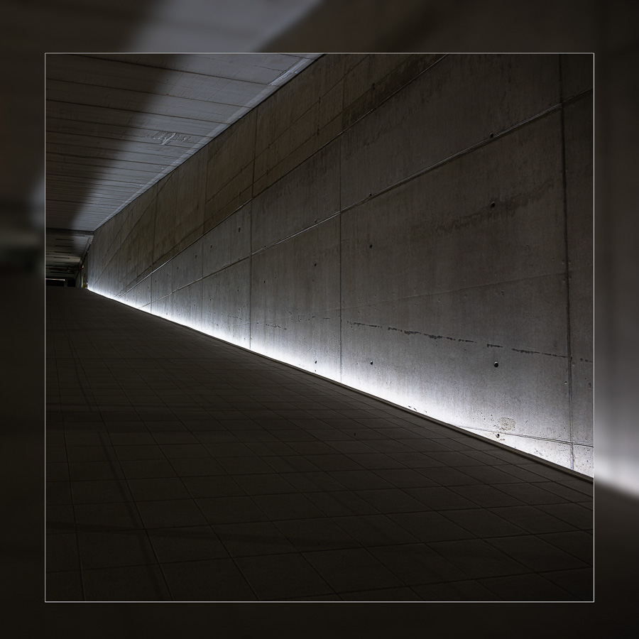 Michel De Vel - Lichtlijn